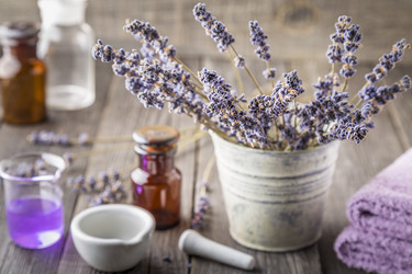 Similar image 21355215