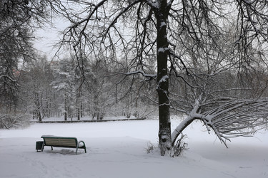 Similar image 21356335