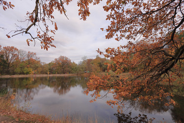 Similar image 21356336