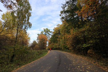 Similar image 21356337