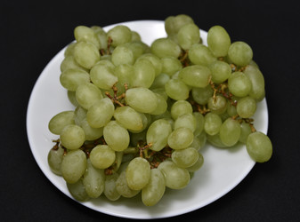 Similar image 21361865