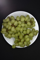 Similar image 21361866