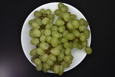 Similar image 21366036