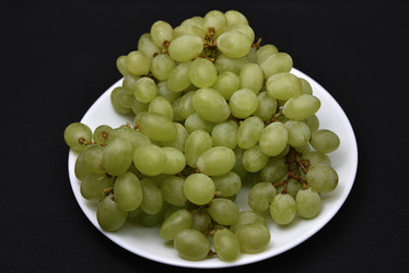 Similar image 21366037