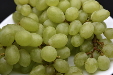 Similar image 21366038