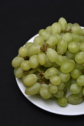 Similar image 21366040