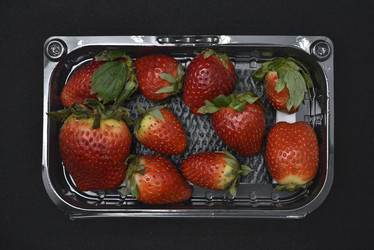 Similar image 21361676