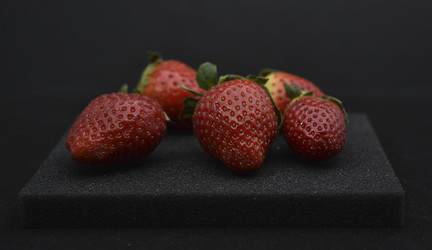 Similar image 21361867