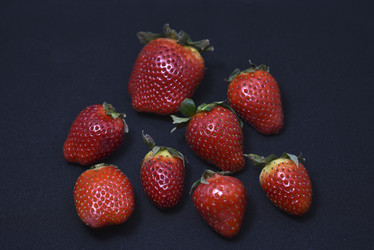 Similar image 21361872