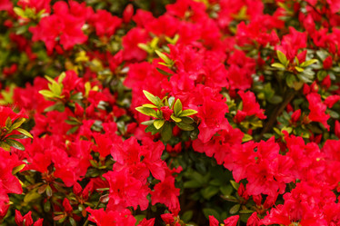 Similar image 21358387