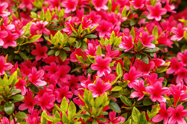 Similar image 21358392