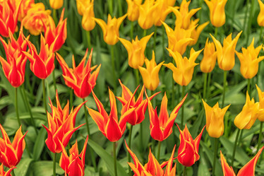 Similar image 21357044