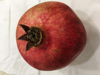 Similar image 21355466