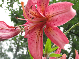 Similar image 21355475