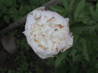 Similar image 21355483