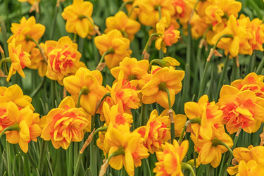 Similar image 21357048