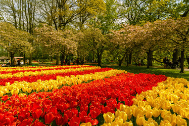 Similar image 21357056