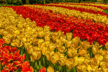 Similar image 21357060