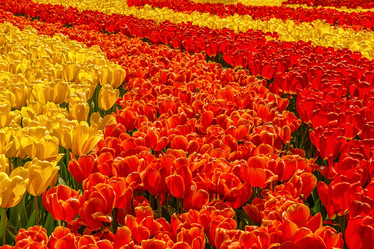 Similar image 21357065