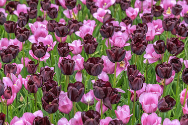 Similar image 21357074