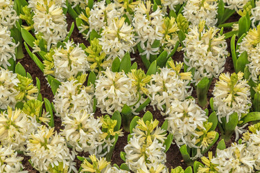 Similar image 21357077