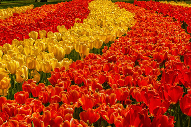 Similar image 21357081