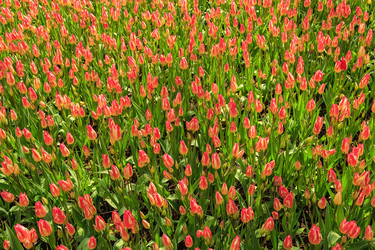 Similar image 21357095