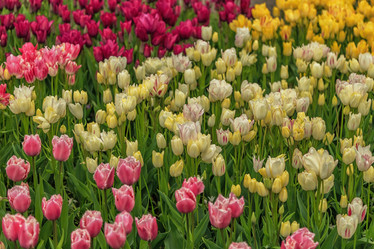 Similar image 21357099