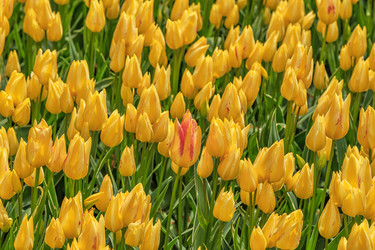 Similar image 21357100