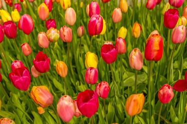 Similar image 21357102