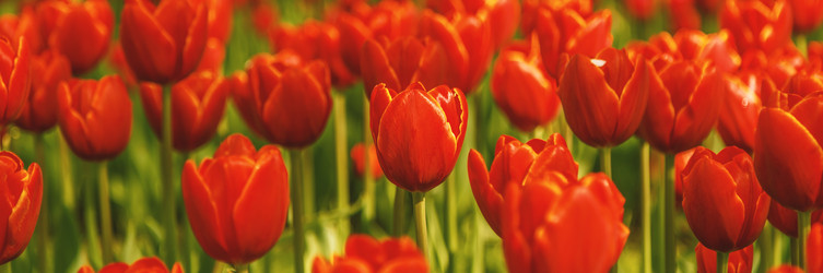 Similar image 21357103