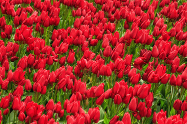 Similar image 21357104