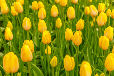 Similar image 21357106