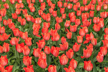 Similar image 21357107