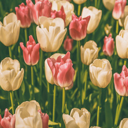 Similar image 21357108