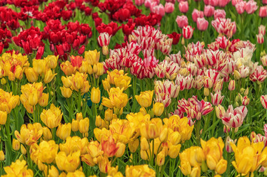 Similar image 21357109