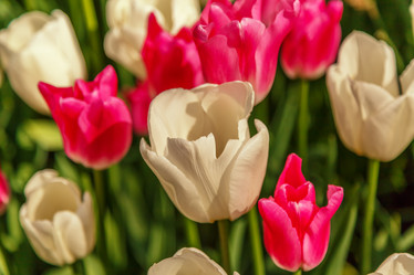 Similar image 21357110