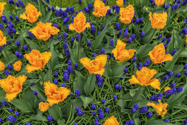 Similar image 21357111