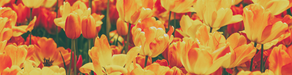 Similar image 21357112