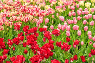 Similar image 21357113