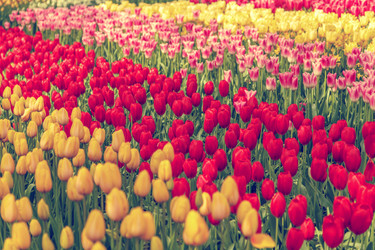 Similar image 21357114