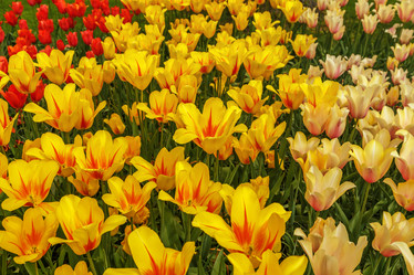 Similar image 21357115