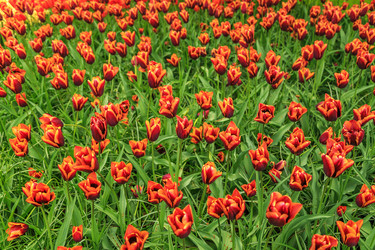 Similar image 21357117