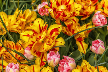 Similar image 21357119