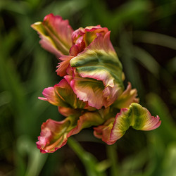 Similar image 21357120