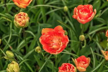 Similar image 21357123