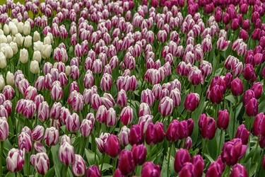 Similar image 21357125