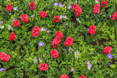 Similar image 21357127