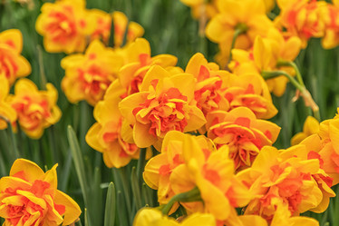 Similar image 21357129