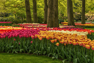 Similar image 21357224